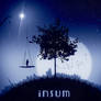 Insum