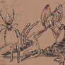 Traditional Sketching 2 - Insects and Spiders