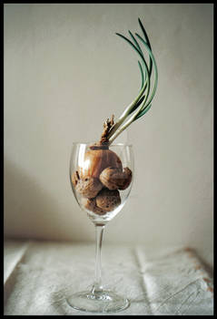 Onion in a glas