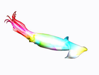 Rainbow Squid