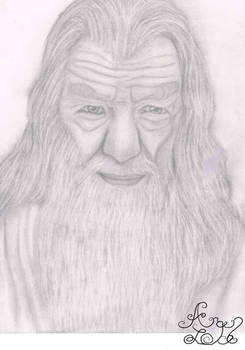 Gandalf the Grey