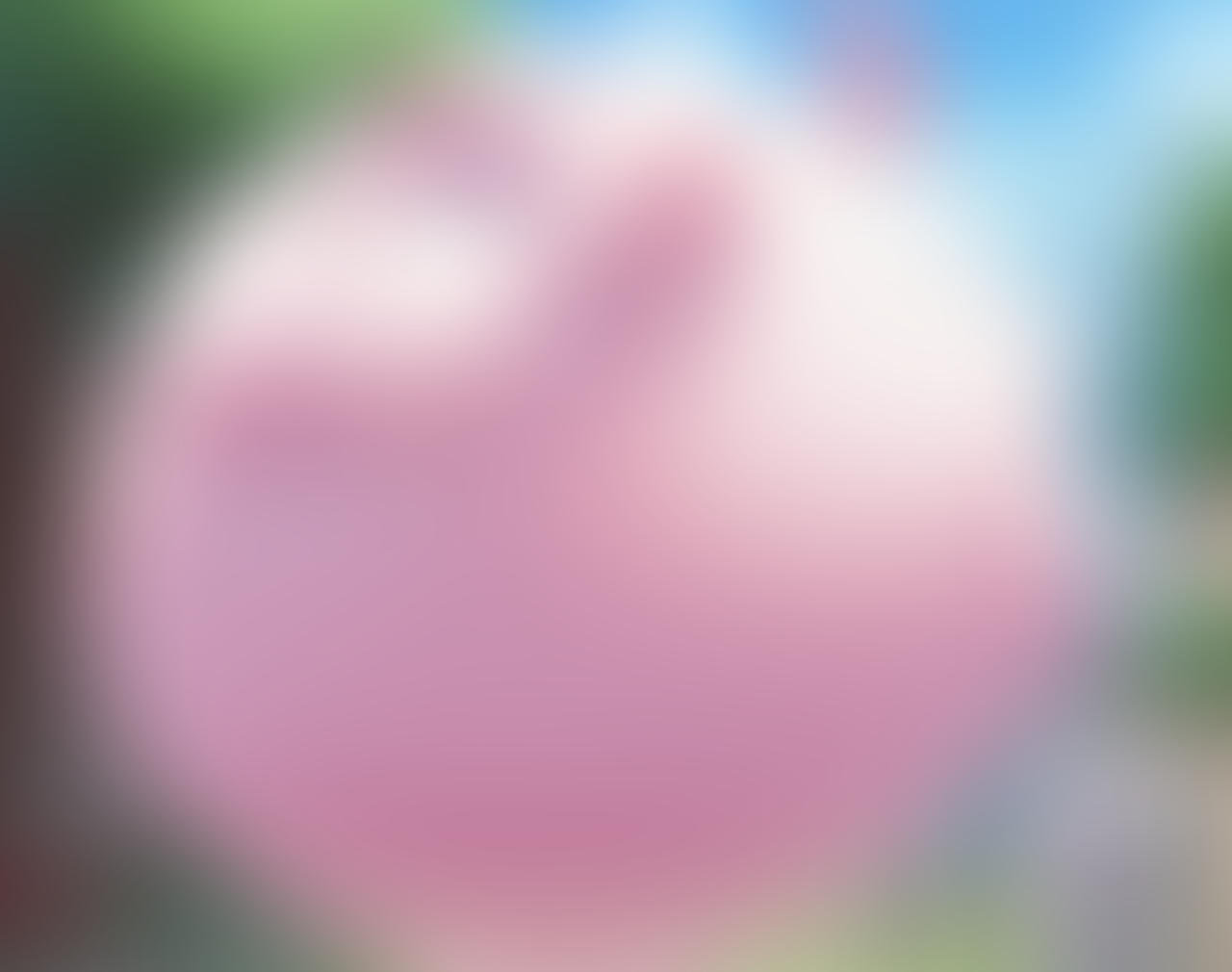 Flower Pokemon Inflation Pokemon balloon inflation by carlitosmurio on DeviantArt