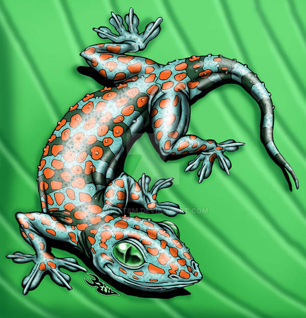 Gecko Deviantart Gecko by Britt8m on DeviantArt