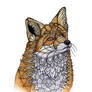 Fox Portrait