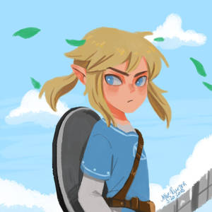 Link - Botw