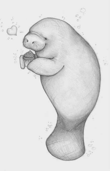 Manatee Haz a Cupcake