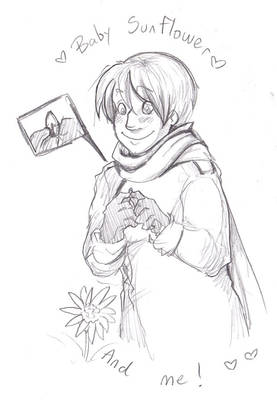 APH: Baby Sunflower