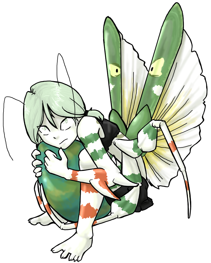 D-corp: Indian Flower Mantis 2