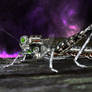 Cyber-Robot-Grasshopper