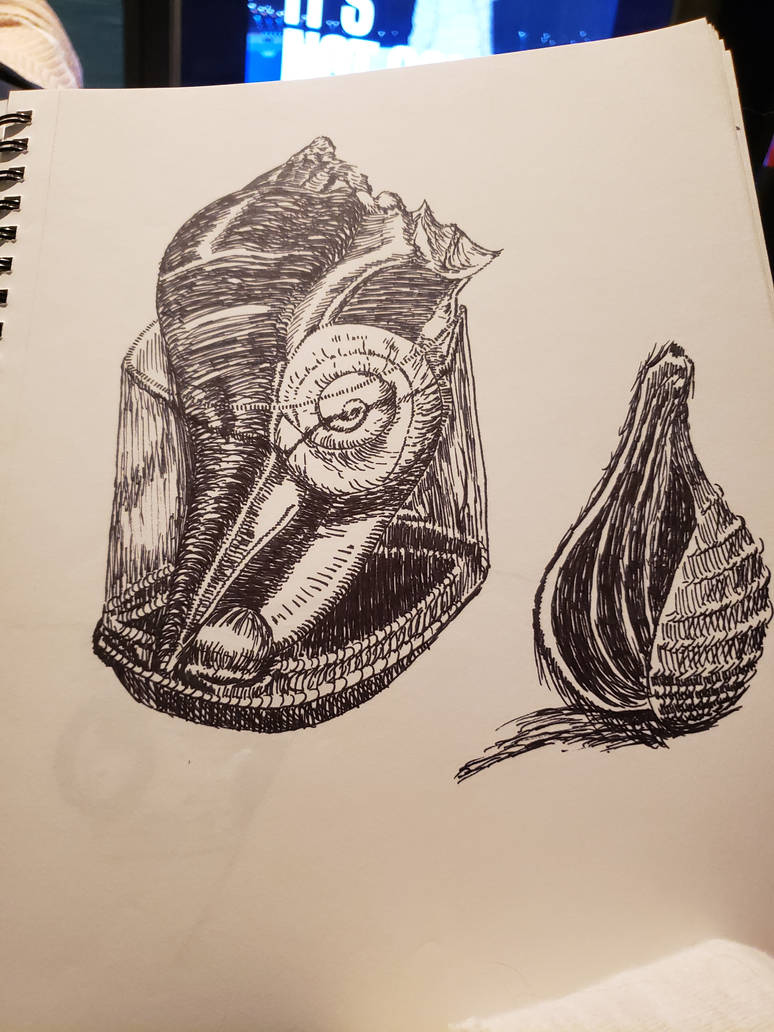 Shells Art Using Ink Shells in ink by Lilfare on DeviantArt