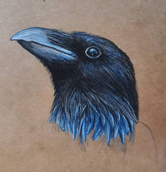 Raven Details