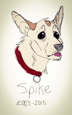 Spike 2003-2015