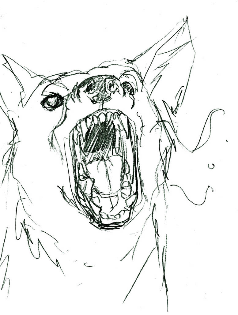 barking mad by Rub7 on DeviantArt