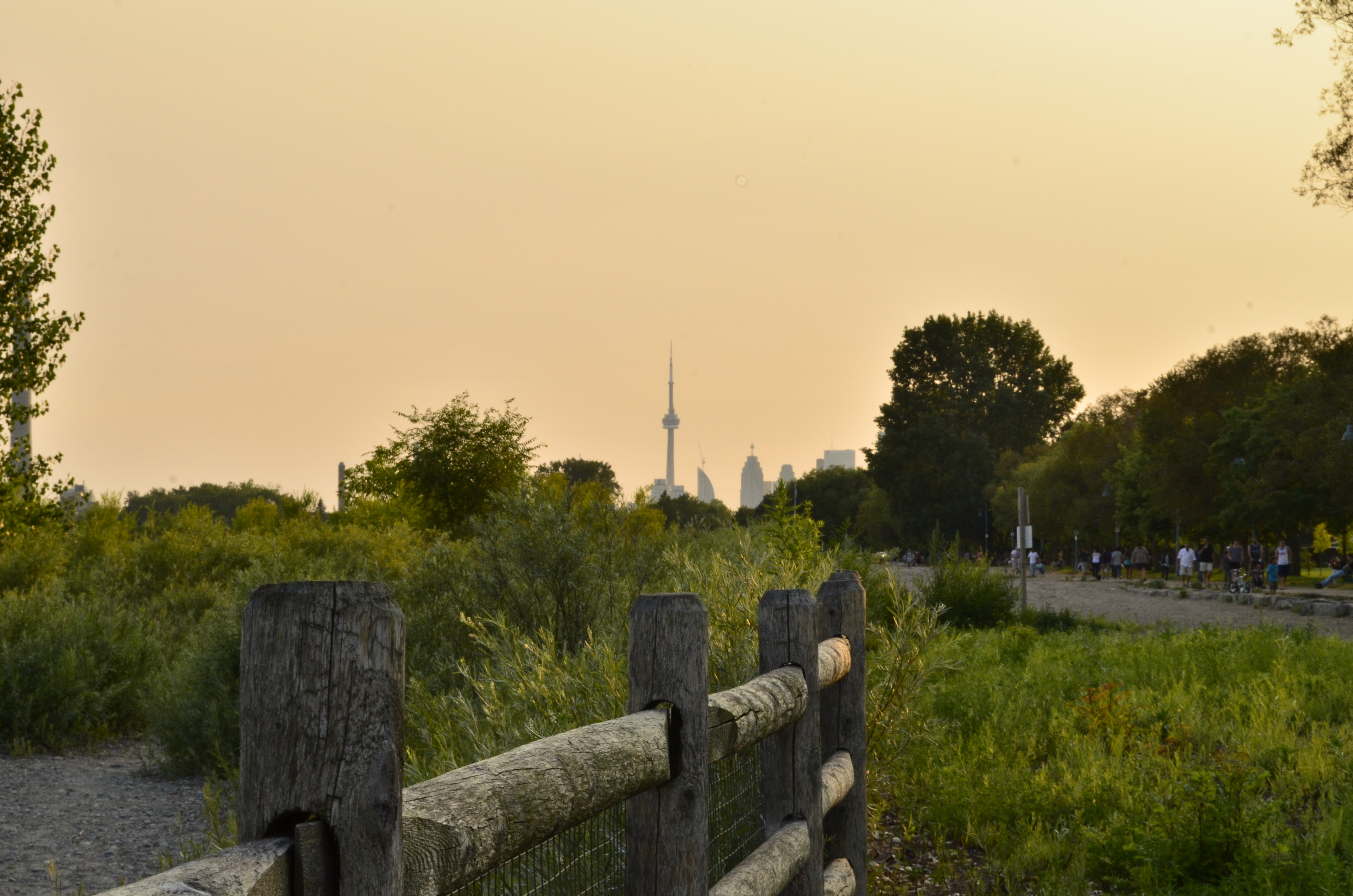 sunset fence