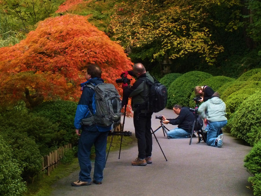 Capturing the Capture