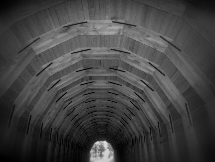 Timber Tunnel