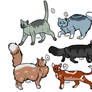 Warrior Cat Adopts|Open|20 points each