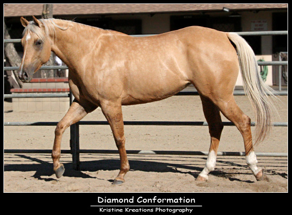 Diamond Conformation