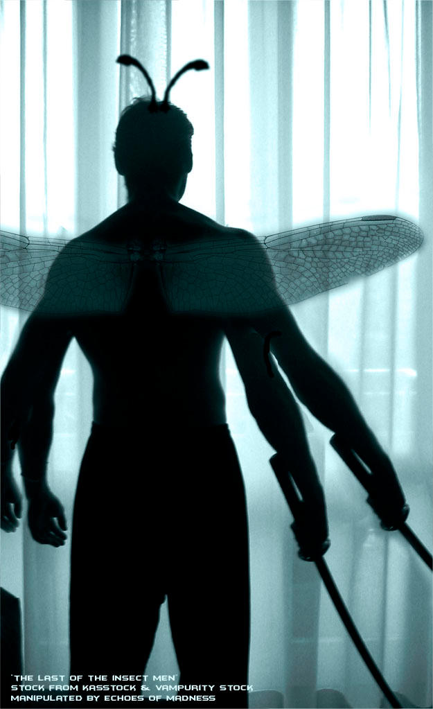Man Into Insect The Last of the Insect Men by EchoesOfMadness on DeviantArt