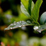 Droplets