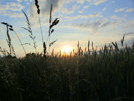 Sundown in Unterschweinbach