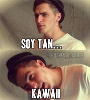 Kendall Kawaii