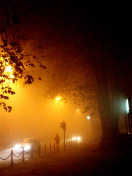 Foggy Night