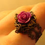 Rose Ring No. 6 - First Picture