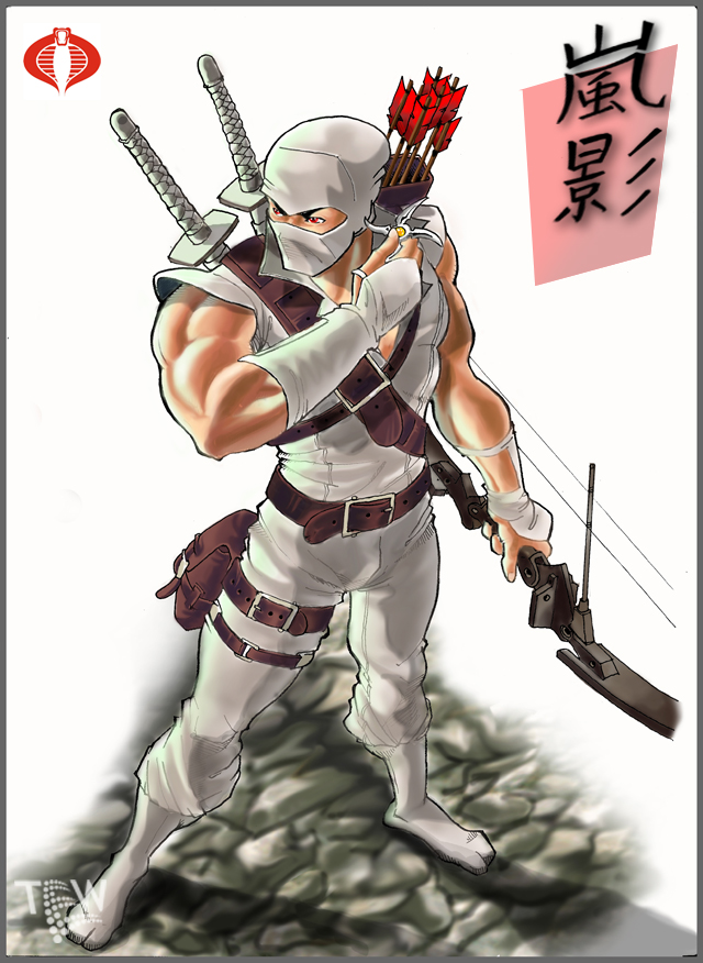 Storm Shadow by tewtew on DeviantArt