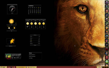 Rainmeter screenshoot Lion
