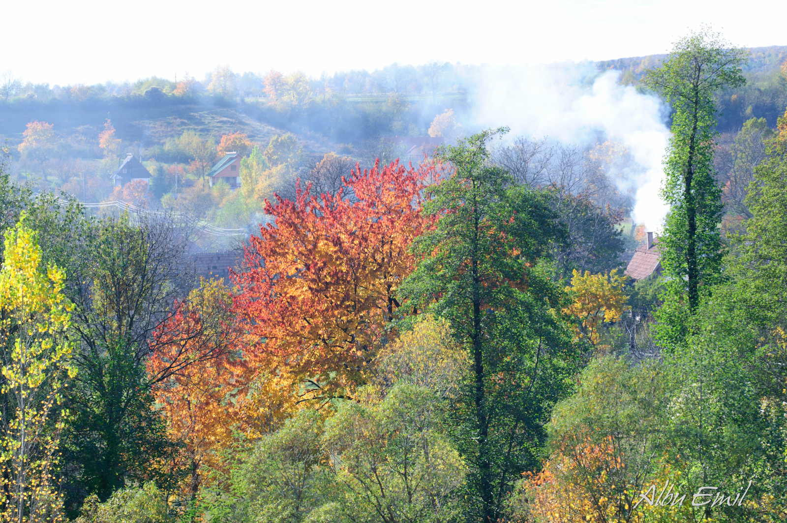 autumn colors 04