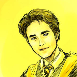 HP - Hufflepuff Hero