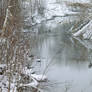 Snow heron