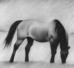 horse charcoal by dholms