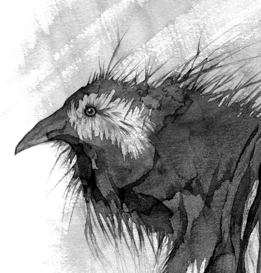 Splattered Ink Crows crow inked by dholms on DeviantArt