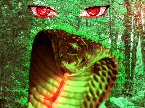 Eye of the Snake