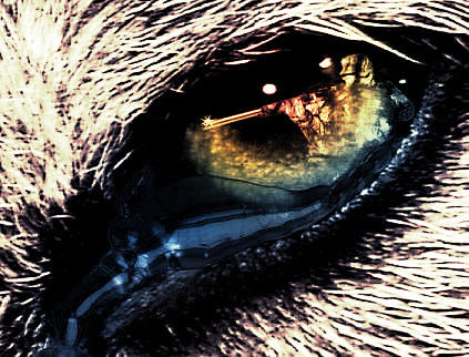 Wolf Eye