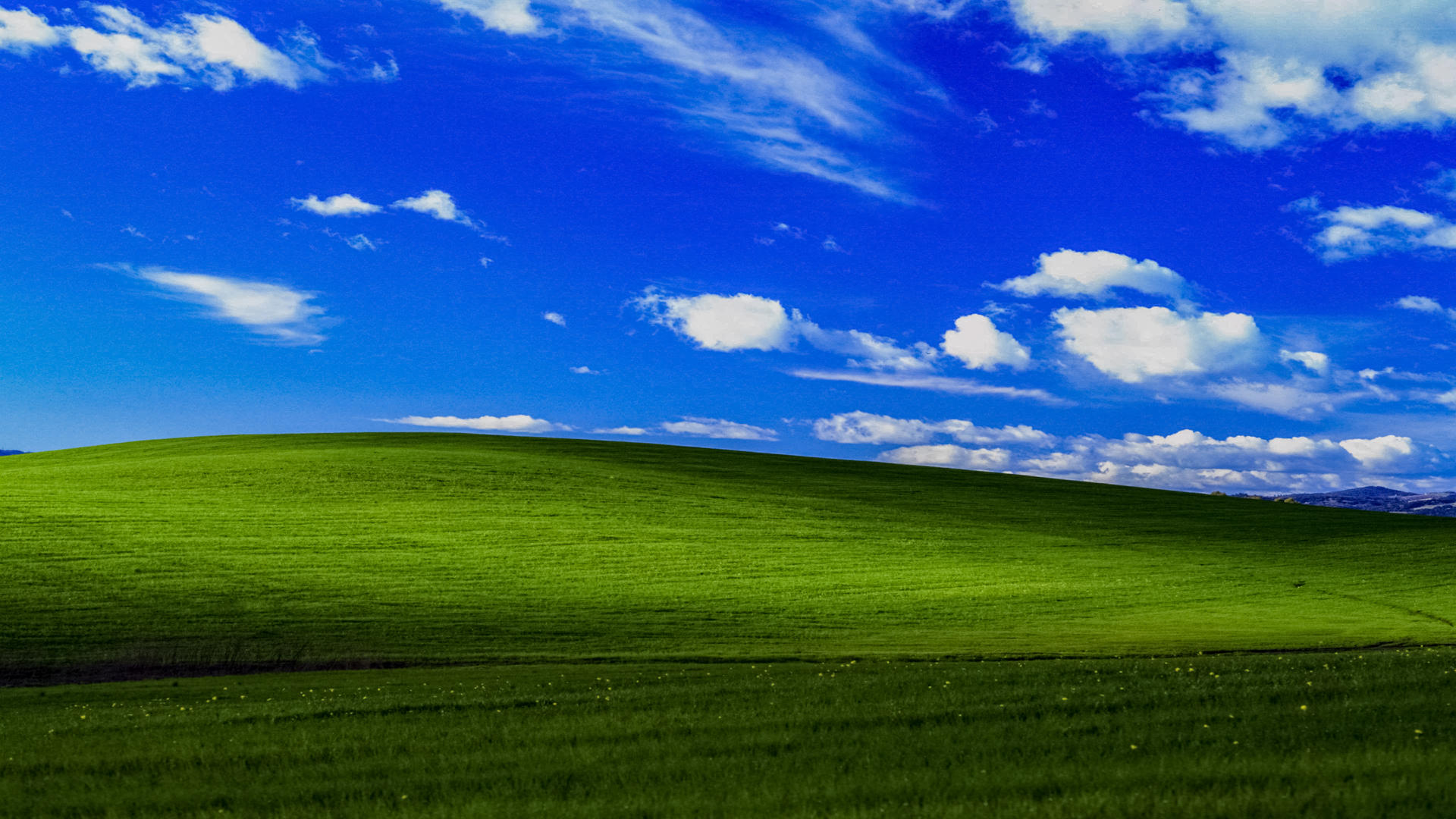 Màn hình nền Windows XP là một trong những bức ảnh nền phổ biến nhất mà ai cũng nhận ra. Nó mang lại cảm giác hoài niệm và đặc biệt cho những ai đã từng sử dụng Windows XP, hãy xem bức ảnh này để hồi tưởng lại ký ức của bạn.