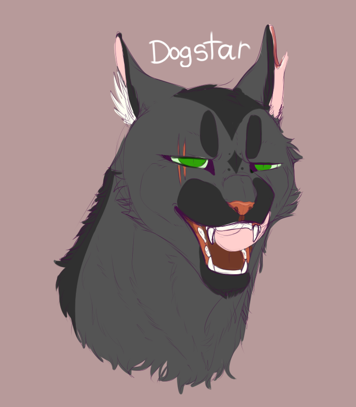 Dogstar!