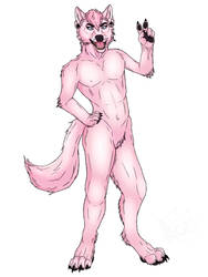 Re: Pink Wolf