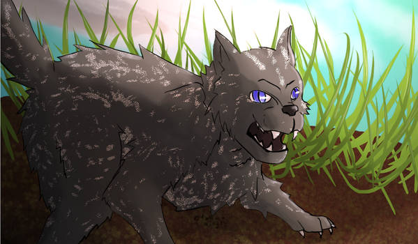 Ashfur is Pissed