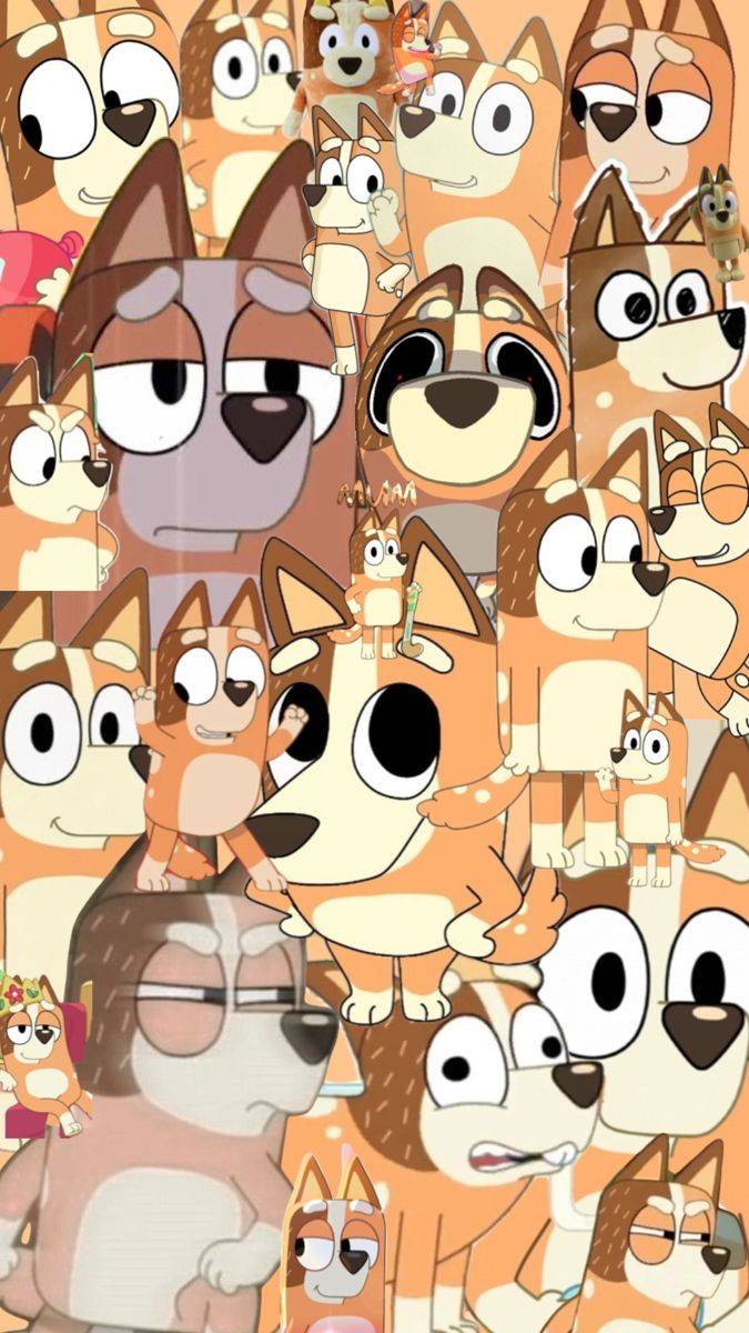 All chilli heeler by Peter192 on DeviantArt