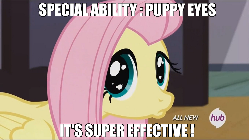 MLP CAPTION 13