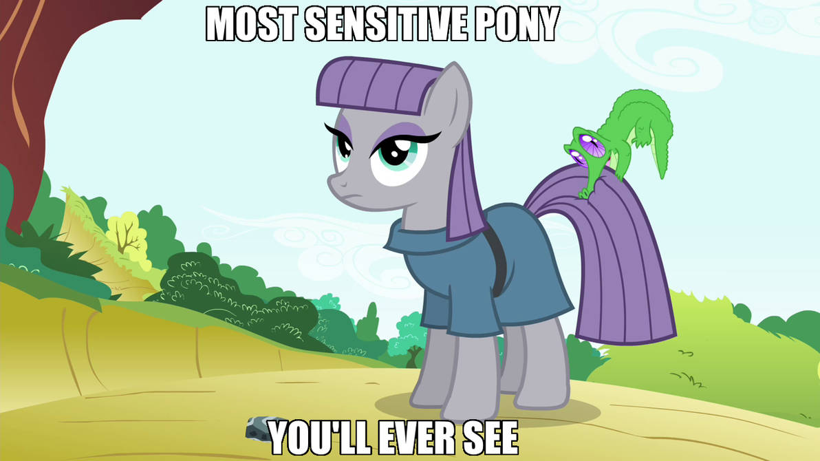 MLP CAPTION 29 by jyroman53 on DeviantArt