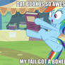 MLP CAPTION 52