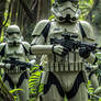 Stormtroopers Search and Destroy 660