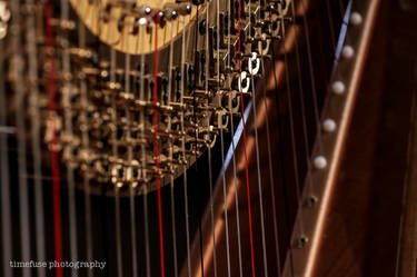 Harp to tune