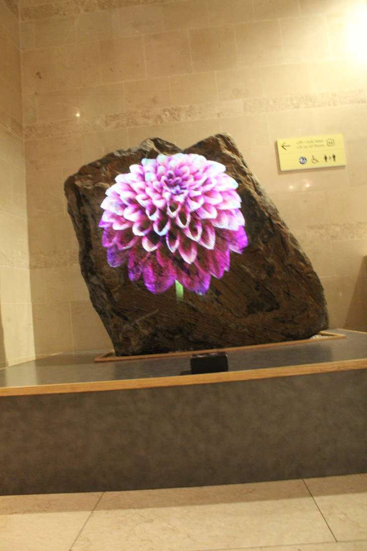 Untitled by Hawkbittern