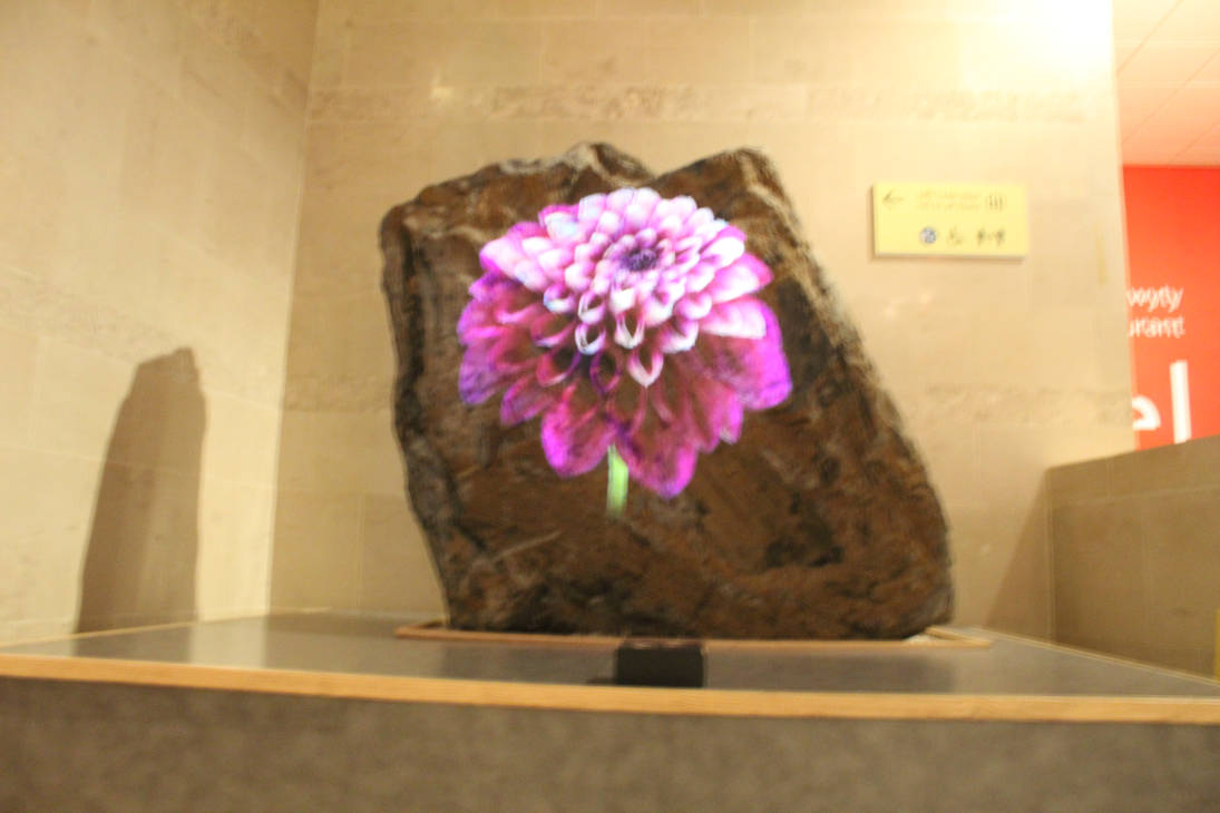 Untitled by Hawkbittern