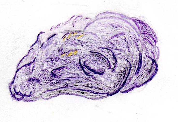 Scan 20b by Hawkbittern